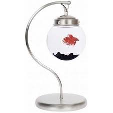 Maybe If I Had This Then My Betta Fish Wouldnt Be Able To Jump Out Of The Bowl And Kill Itself Fish Bowl Aquarium Design Unique Fish Bowls