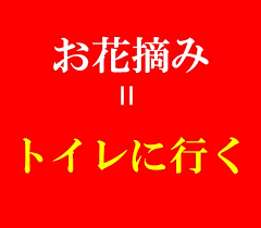 お花摘み」もう１つの意味、知ってますか？ 人気お笑いトリオ四千頭身もネタで使用…登山用語がルーツ｜まいどなニュース