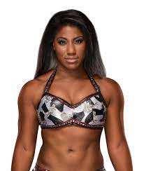 Superstars Black Wrestlers Nxt Divas Champion