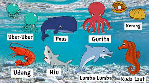 Check spelling or type a new query. Nama Nama Hewan Laut Belajar Mengenal Nama Hewan Youtube
