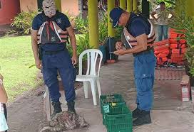 Guía turístico se adentra en profundidad de laguna para salvar osos  perezosos