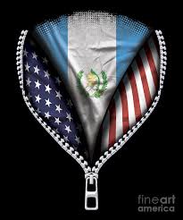 Vertical stripes became the the quetzal is the national bird of guatemala and signifies freedom. Guatemala Flag American Flag Zip Down Digital Art By Jose O