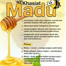 Madu berasal daripada lebah yang mendapatkan nektar dari sari bunga. Kamarudin Md Ali Twitterissa Assalamualaikum Jom Kia Belajar Khasiat Madu Lebah Dari Forever Li Kabilahawanbiru Https T Co Qblogzbcbt Https T Co 9qbw22rdjx