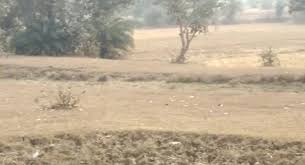 Sunukpahari hat bankura স ন কপ হ র হ ট ব ক ড. 60 To 120 Bigha Agricultural Land Near Dumur Kundi Bankura Wb M 9002682772 In 2021 Agricultural Land Agricultural Land For Sale Side Road