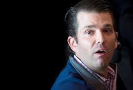 Trump Jr. invested in a hydroponic lettuce company whose chair was seeking  Trump admin funds