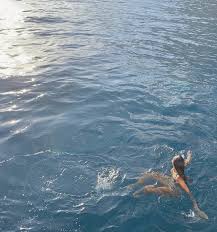 This includes any sexual comments regarding taylor, in addition to posting addresses of taylor's homes or routinely visited places. 6 Unforgettable Things To Do In Thailand Dewildesalhabæ­¦å£« Summer Vibes Summer Dream Summer Feeling