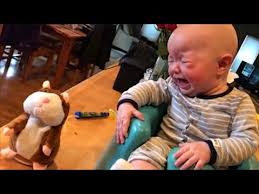 Video Babies Scared Of Toys