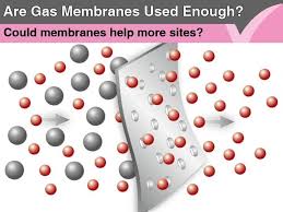 Connecticut basement systems waterproofs wet basements and crawl spaces. Wise Basement Systems News