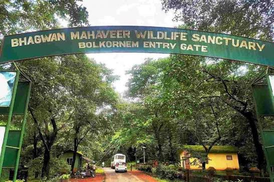 Bhagwan Mahavir Wildlife Sanctuary in Dharbandora