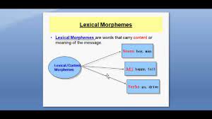 Lexical morphemes are those that having meaning by themselves (more accurately, they bound grammatical morphemes (those that don't have a sense by themselves and, additionally, always. Lesson 4 Lexical Morphemes And Functional Grammatical Morphemes Youtube