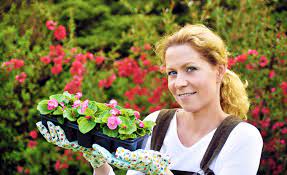 How To Plant And Grow Plug Plants Van Meuwen