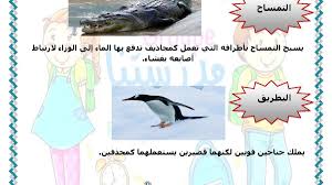 التنقل عند الحيوانات في الماء السنة الثالثة مدرستنا