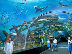 Today i will show you my top 10 places to visit in singapore. 55 Places To Visit In Singapore Tourist Places Attractions
