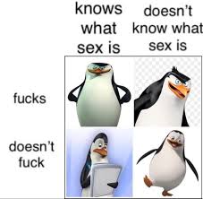 With tenor, maker of gif keyboard, add popular penguins of madagascar meme animated gifs to your conversations. The Best Penguins Of Madagascar Memes Memedroid