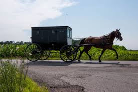 Choose your favorite amish designs and purchase them as wall art, home decor, phone cases, tote bags. 4 957 Amish Wall Murals Canvas Prints Stickers Wallsheaven