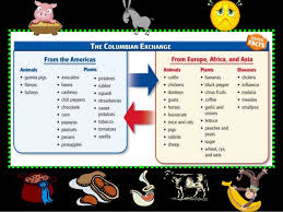 In what is called the columbian exchange, numerous plants, animals, and microbes from europe, asia, and africa were introduced to the americas, and numerous others were transferred from the americas to europe, asia, and africa. Columbian Exchange