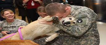 Ipata is neither liable nor responsible for the performance or accuracy of information supplied by its members. Military Pet Relocation Continental Pet Relocation