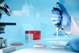 Hair cells are one of the fastest growing cells in our body. Study Shows Bendamustine Rituximab Doubles Progression Free Survival In Patients With Inhl And Mcl Compared With Chop R Ecancer