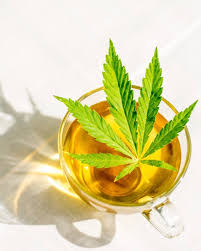 Cannabidiol (cbd) is an oil derived from the cannabis plant. What Is The Effect Of Cbd Dutch Harvest Hemp Tea