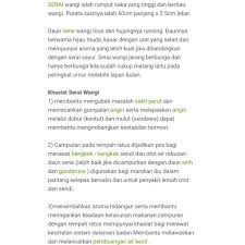 Serai wangi adalah salah satu tanaman yang menghasilkan minyak atsiri. Anak Benih Serai Wangi Shopee Malaysia