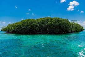 Parts of the belize barrier reef, the primary component of the mesoamerican barrier reef system running from southern mexico to honduras, will soon be insured by the nonprofit mar fund with grant. Belize Barrier Reef Das Zweitgrosste Riff Der Erde