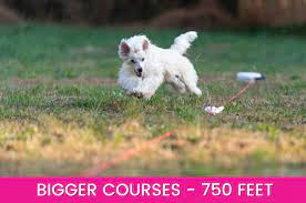 Maybe you would like to learn more about one of these? Swiftpaws Home Plus Indiegogo