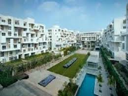 They are modest and homey investments. For Rent Dharmavaram 795 Row Houses For Rent In Dharmavaram Mitula Homes