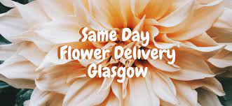 Get flowers delivered today glasgow. The 7 Best Options For Same Day Flower Delivery In Glasgow 2021