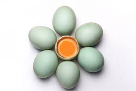 Gambar gubahan hiasan bunga telur cantik untuk tetamu di majlis perkahwinan. Ini 5 Manfaat Telur Bebek Untuk Kesehatan