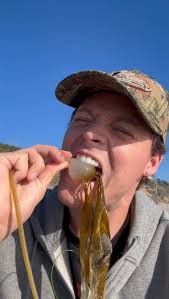 Beachcombing and the Dangers of Eating Sea Creatures in Oregon