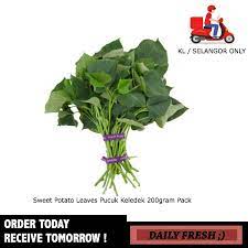 Rebuskan ubi keledek sehingga empuk dan tuskan airnya. Fresh Sweet Potato Leaves Pucuk Keledek 200gram Pack Shopee Malaysia