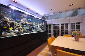 Find many great new & used options and get the best deals for fish tank stand aquarium table storage furniture 20 gallon bookcase shelf room at the best online prices at ebay! Aquarium Architecture Contemporary Dining Room London By Aquarium Architecture