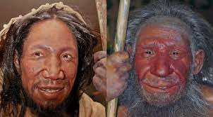 Denisovans ranged from siberia to southeast asia and may have persisted until as recently as 30,000 years ago, based on their genetic legacy in living southeast asians. Neanderthal Denisovan Dna Found Near Autism Genes In Modern Humans Extremetech