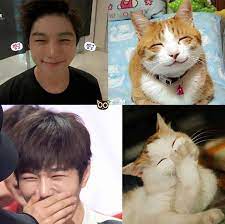 National Cat Day 10 Idols And Their Cat Doppelgangers Myungsoo Kpop Funny L Infinite