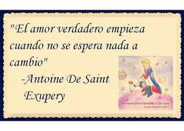 28 Frases De El Principito Que Te Dejaran Pensando El Principito Frases El Principito Frases