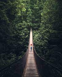 5 Types Of Perspective In Photography And How To Use Them Pixels And Wanderlust Line Photography Leading Lines In Photography Perspective Photography