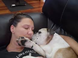 After 14.4 years of goofiness & bulldog antics and lots, lots of love we  said goodbye to our beautiful chunka momma nagi. Her mind starting slipping  and she seem to have become