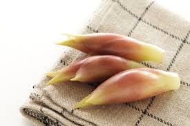 みょうが 茗荷 には物忘れの効能がある 栄養や花言葉 旬の季節は Horti ホルティ By Greensnap