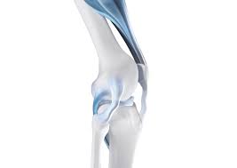 Ursachen für knieschmerzen beim laufen. Kniegelenkinstabilitat Ursachen Symptome Und Therapie