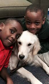 Dora Comfort Dog added a new photo.