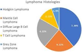 Lymphomas with intermediate features, advances in hematology, vol. Feasibility Of And Decreased Inpatient Hospital Days For Non Hodgkin Lymphoma Nhl And Hodgkin Lymphoma Hl Patients With Outpatient Beam Using Daily Etoposide And Cytarabine And Autologous Hematopoietic Stem Cell Transplantation Ahct