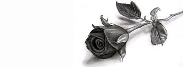 Black And White Flower Facebook Cover Photos Black And White Drawn Rose Facebook Cover Cover Photos Facebook Timeline Covers Facebook Cover