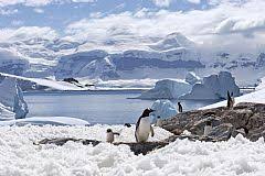 Gobernación provincia antártica chilena.jpg5,344 × 3,006; Antarctica