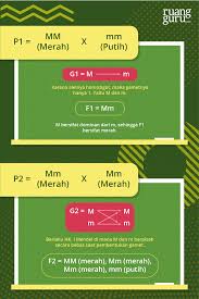 Latihan soal ipa kelas 9 smp mts kurikulum 2013 materi pewarisan sifat. Persilangan Monohibrid Dan Dihibrid Pada Hukum Mendel Biologi Kelas 12