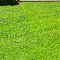 This process includes testing the ph balance of your soil, looking for signs of lawn insects and lawn disease. The 10 Best Lawn Care Services In Albuquerque Nm From 36