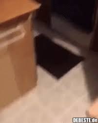 Gifs bilder und animierte gifs. Tqobp2mx5p 6rm