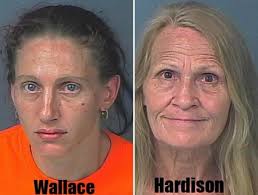 Hernando Deputies Arrest Two Spring Hill Women At Nuisance Drug House
