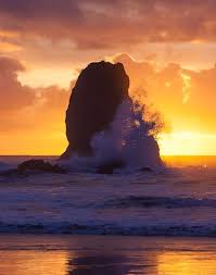 Image result for cannon beach