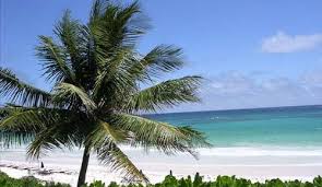To apply for your travel health visa, first you'll need to create a profile. Frequently Asked Questions Before Traveling To The Bahamas