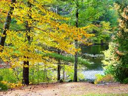 Chickering Pond At Rocky Woods In Medfield Mass Eric S Photo Travel Lifestyle Blog New England Travel Vacation Photos Photo Tour